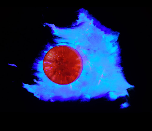 a surreal cosmic landscape with a glowing red sphere floating amidst blue bioluminescent nebulae